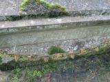 image of grave number 607982